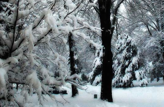 На Шапка снежна покривка од 21 см, најстудено во Тетово