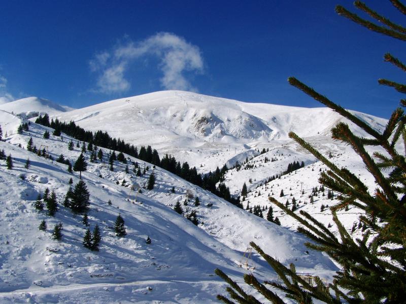 Најмалку четворица скијачи загинаа во снежна лавина во јужна Франција