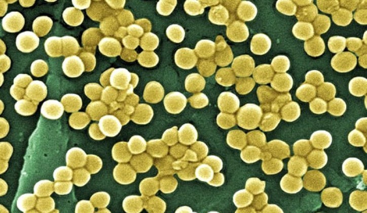 Докиќ е против препишување: Антибиотикот може да им штети на ковид-пациентите