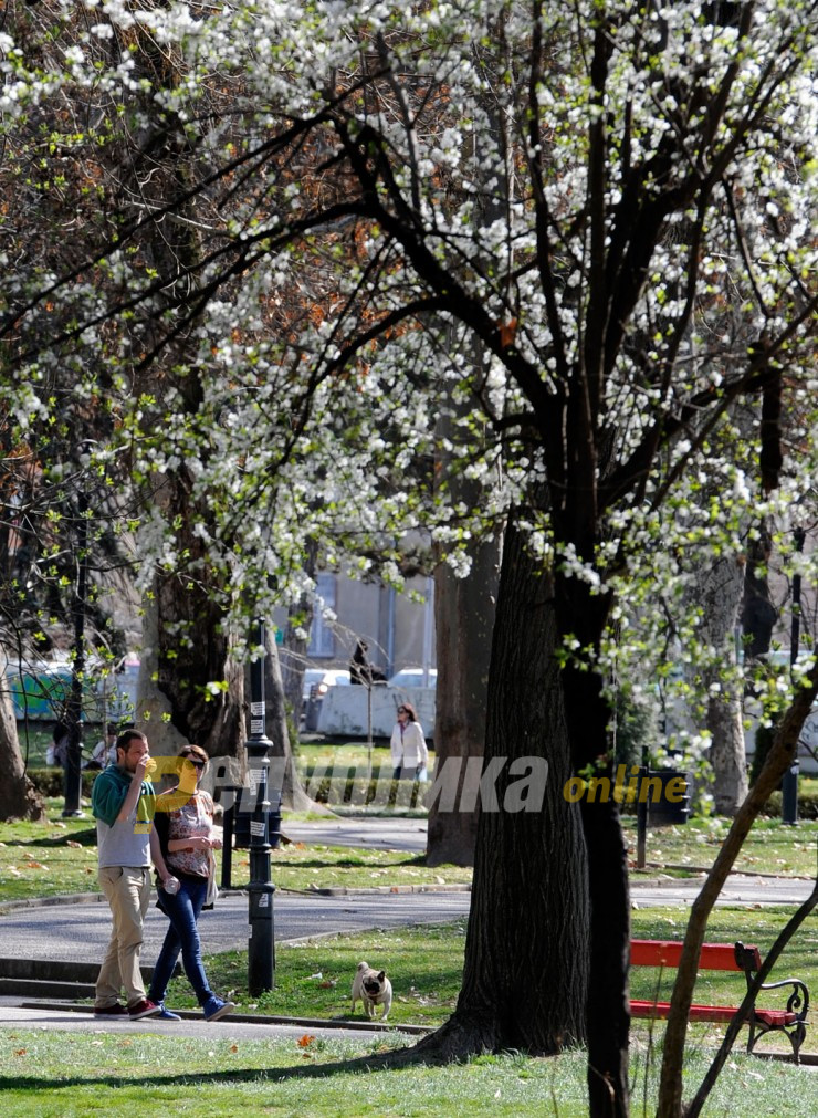 Следи стабилно, сончево и топло време