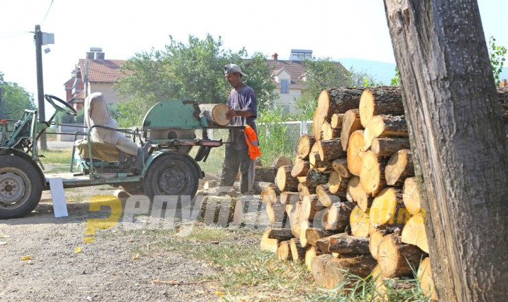 Нуредини: Не очекуваме враќање на затоплување на дрва поради растот на цената на струјата