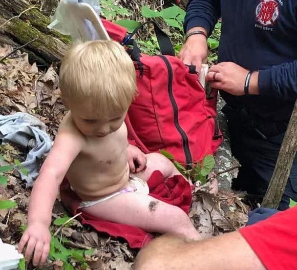 Двегодишно дете пронајдено живо откако со денови лутало во шума полна со мечки и којоти