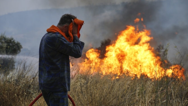 Пожари беснеат и во Италија, најстрашно е во Калабрија: Гори вегетација и шума