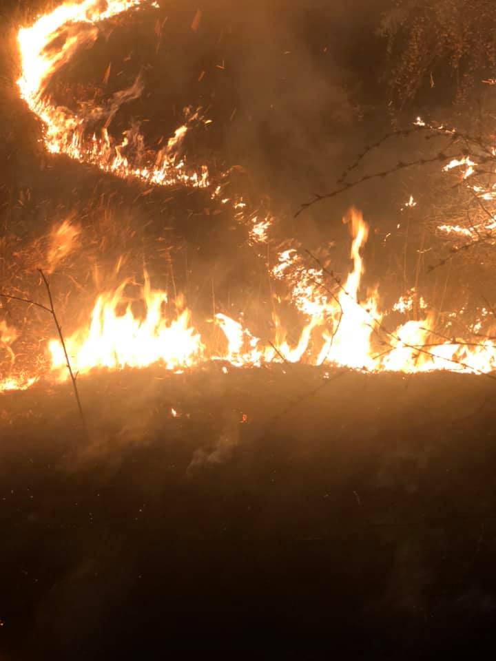 Пожарна Скопје: Голема површина, но сепак се справуваме успешно со 8 возила и 17 луѓе