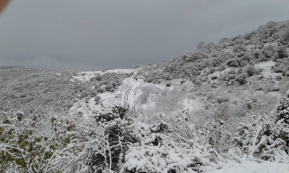 Во Грција пронајдени телата на тројца планинари, загинале во лавина