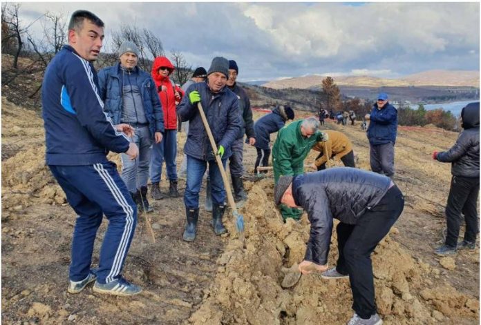 ВМРО-ДПМНЕ: Акцијата за пошумување на СДСМ е копија на „Ден на дрвото“