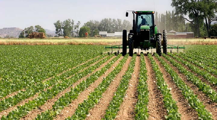 Со органско земјоделство лани се занимавалe 888 производители на 4 215 хектари