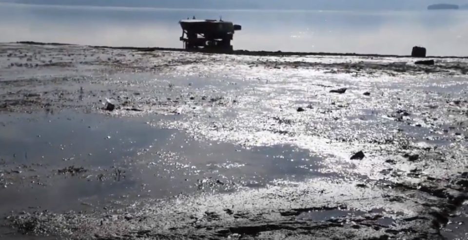 Трипуновски: Преспанското Езеро е повлечено и до 500 метри, ова е еколошка катастрофа