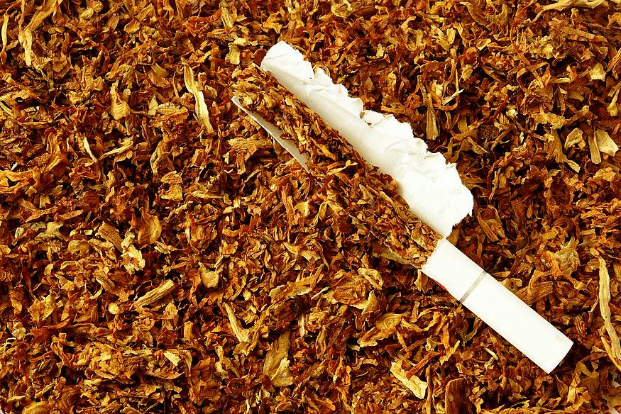 Стопанска комора: Штетни се изјавите на некои пратеници за дозволениот увоз на тутун