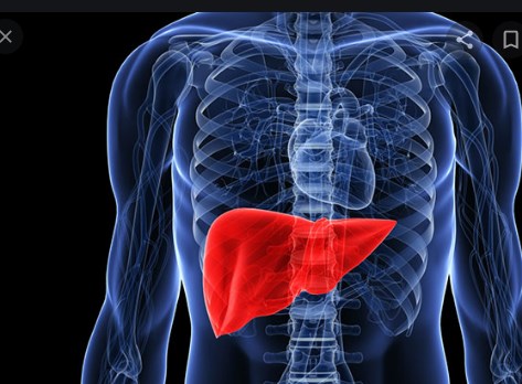 Најраните знаци дека црниот дроб ви откажува: Овие, навидум, безопасни симптоми се знак на предупредување!