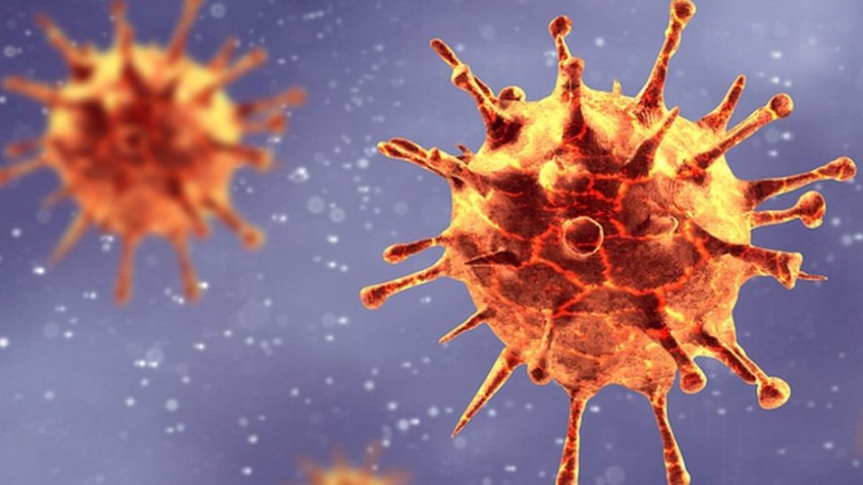 Новиот вид на коронавирус „троен мутант“ создаде паника кај јавноста, експертите смируваат- не е „особено заразен“