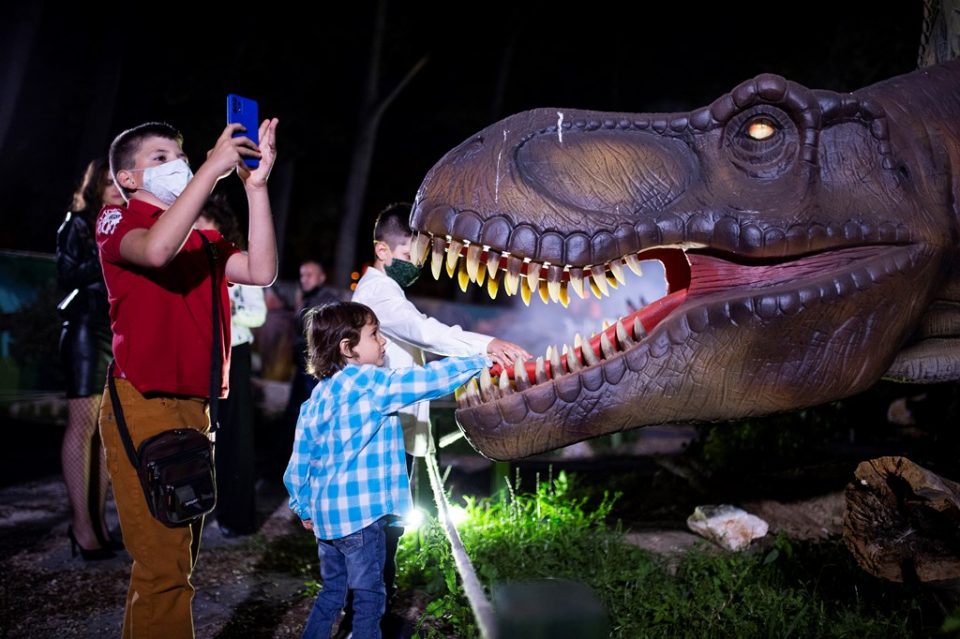 Директорот на Зоолошката градина бара од родителите да ги предупредуваат децата за да нема оштетувања на диносаурусите