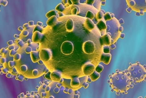 Откриен нов вид коронавирус