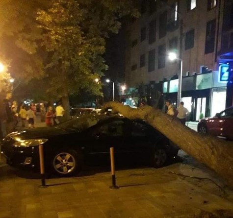 Внимавајте каде ги паркирате автомобилите: Позади пазарчето Буњаковец падна дрво