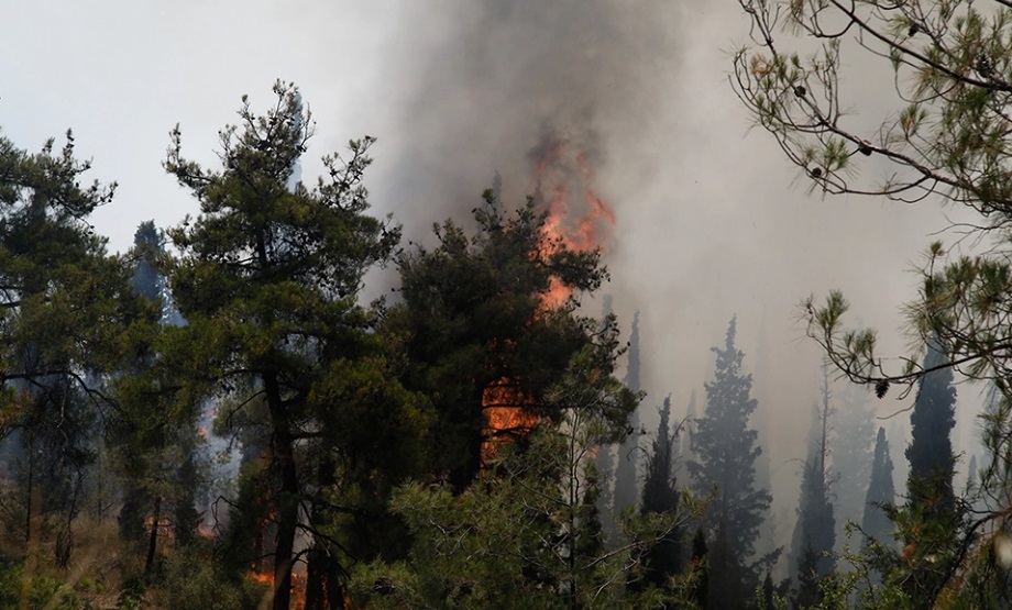 Голем пожар на грчкиот остров Самос, пожарникари на помош доаѓаат од  Атина