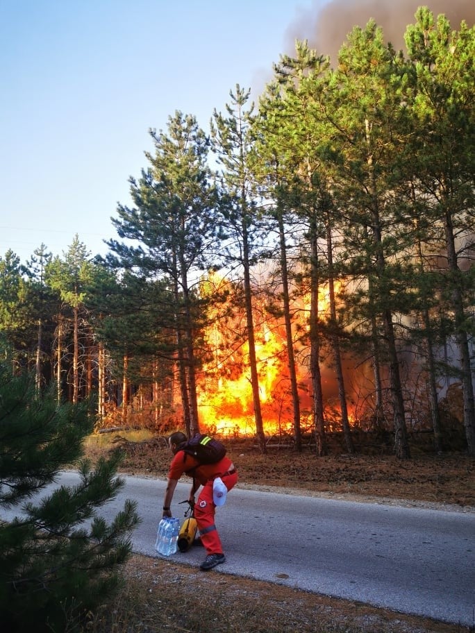 Уште пет европски земји ќе и помогнат на Франција во борбата со шумските пожари
