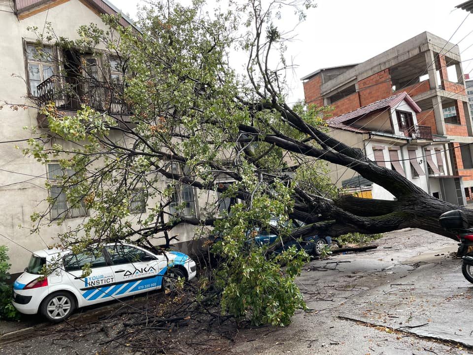 Откорнато дрво оштети две возила зад паркингот кај „Холидеј ин“