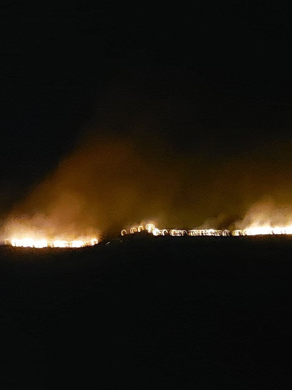 Избувна голем пожар во Катланово, гори шума над автопатот