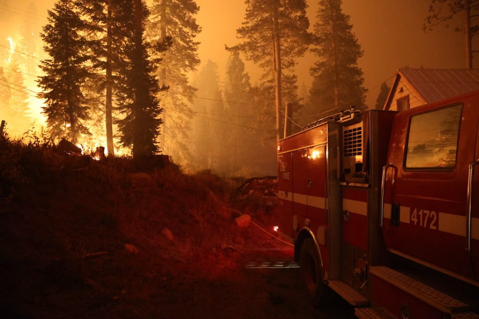Шумските пожари се засилуваат, светот е неподготвен, предупредува ОН