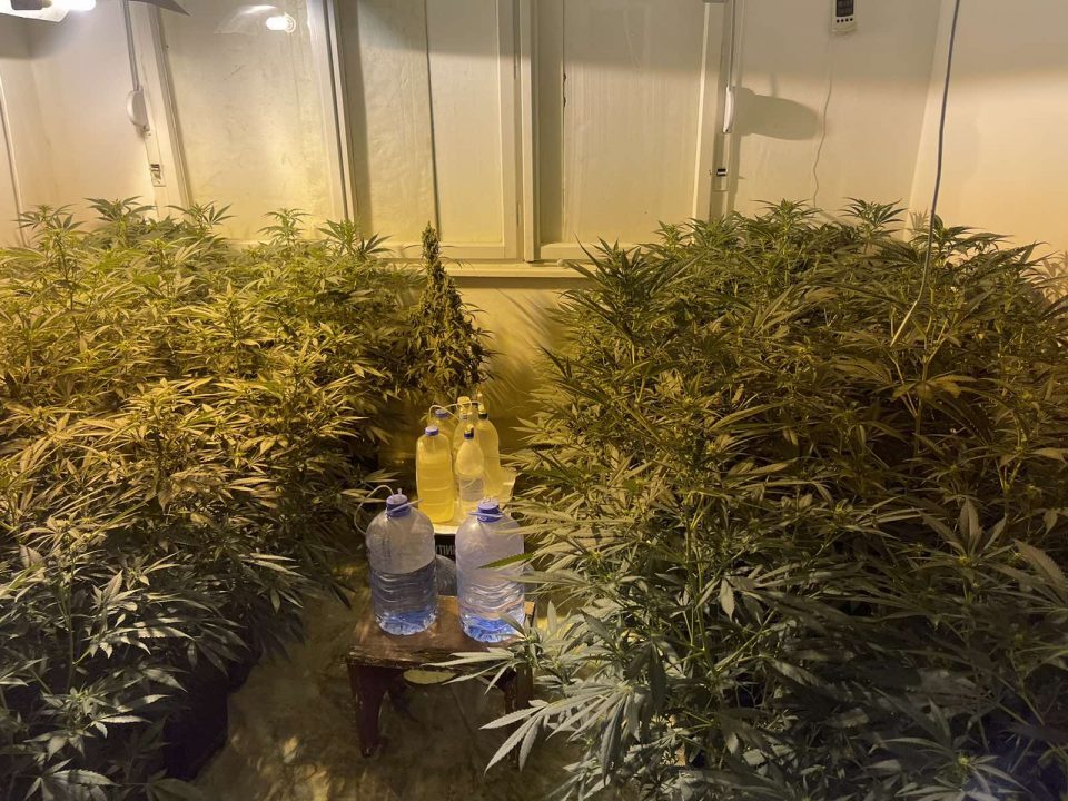 Скопјанец во изнајмена барака направил лабораторија за одгледување марихуана