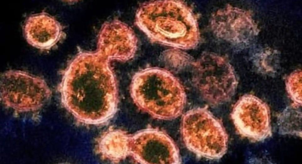 СЗО го класифицираше новиот сој коронавирус како загрижувачки и високо пренослив