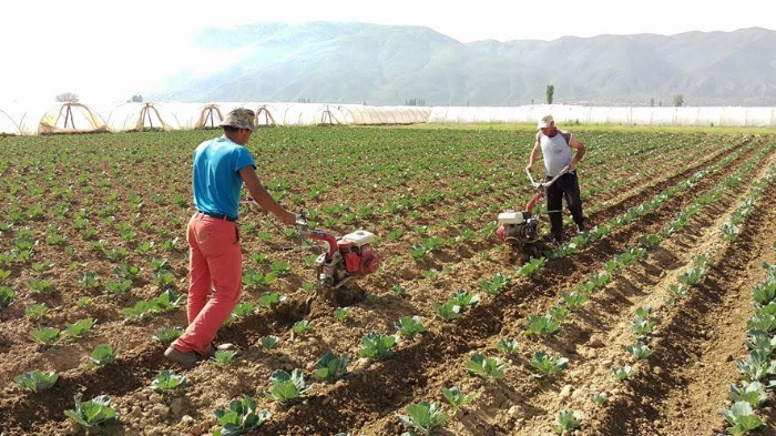 ВМРО-ДПМНЕ им дава поддршка на земјоделците, владата веднаш да им излезе во пресрет