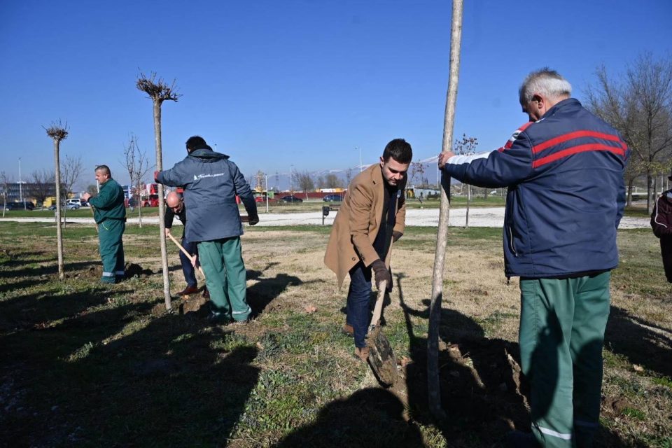 Муцунски, Арсовска, Гир и Вуцас садеа дрвја во паркот на последна 5-ка