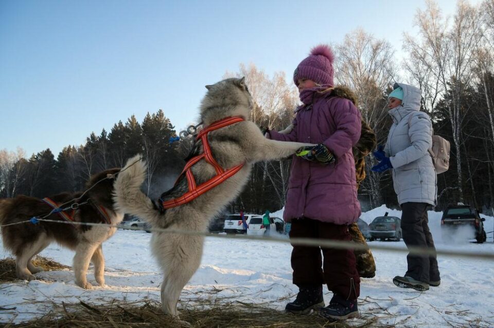 Ја преживеала снежната бура гушкајќи куче: Девојче  минало ноќ стиснато до животното