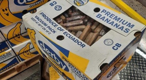 Кутии банани полни со кокаин пристигнале во фирма во Босна и Херцеговина