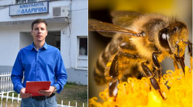 Васко Паскали, поранешен секретар на СДСМ Охрид, е каснатиот од пчела кој доби 15.000 евра оштета