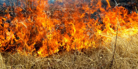 Пожар во атар на росоманско: Горат шамак и сува трева