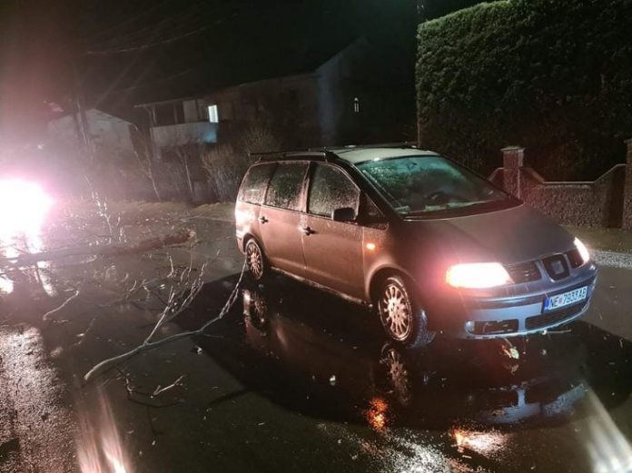 Оштетено возило при пад на дрво од невремето во Неготино