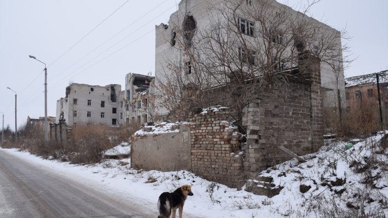 Украинските сили го гранатирале Доњецк
