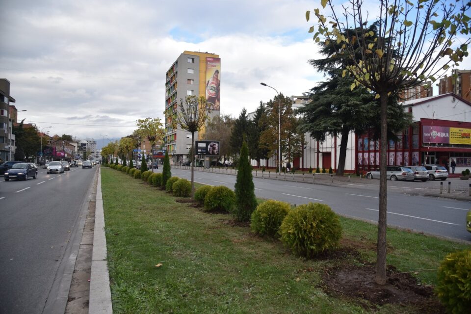 Град Скопје сади дрвја и цвеќиња на булеварите и магистралите