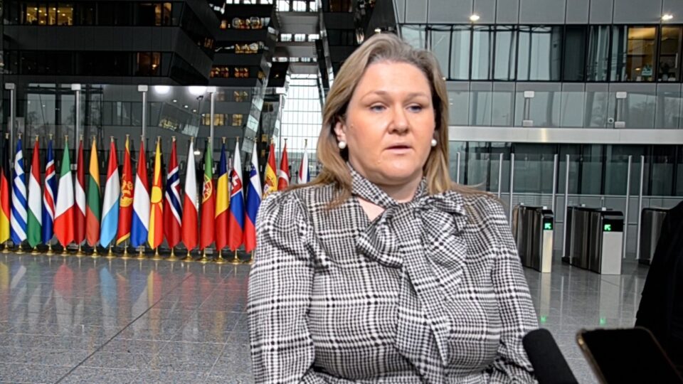Петровска: Најголема придобивка од членството во НАТО е што сме сигурни и безбедни