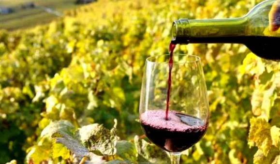 Македонското вино одамна е во ЕУ, вели Маричиќ