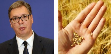 Вучиќ: Србија ќе дозволи контролиран извоз на пченица во регионот