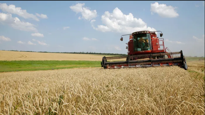 Земјоделците бараат до 22 денари за пченицата и да нема нови цени на лебот среде откуп