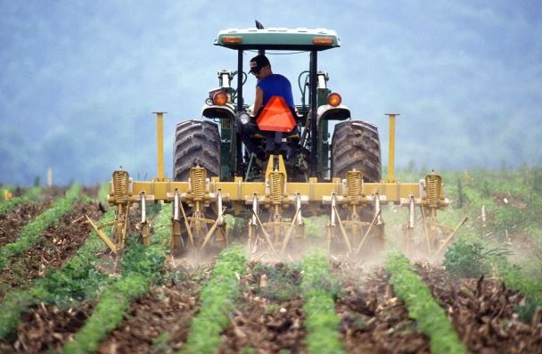 Трипуновски: Владата да ги поддржи мерките на земјоделците поднесени од земјоделските здруженија