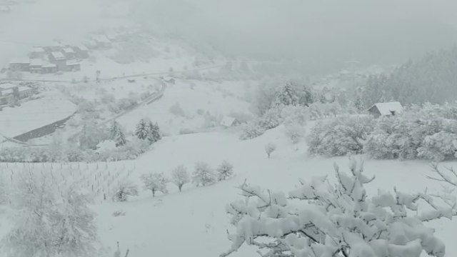 Србија завеана во снег