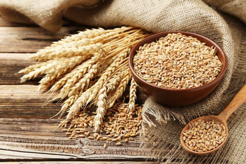 ОН негираат дека Анкара од Киев добила поевтино житото