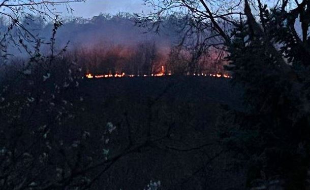 Пожарот е на два километри од викендиците во Елен Камен, ветерот го носи огнот кон планината