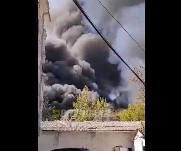 Вознемирувачка снимка од пожарот кај „Треска“