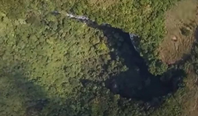 Античка шума е пронајдена на дното на огромна дупка во Кина
