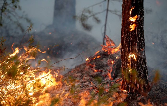 Ветeрот ги разгорува пожарите во Сибир, десетина жртви