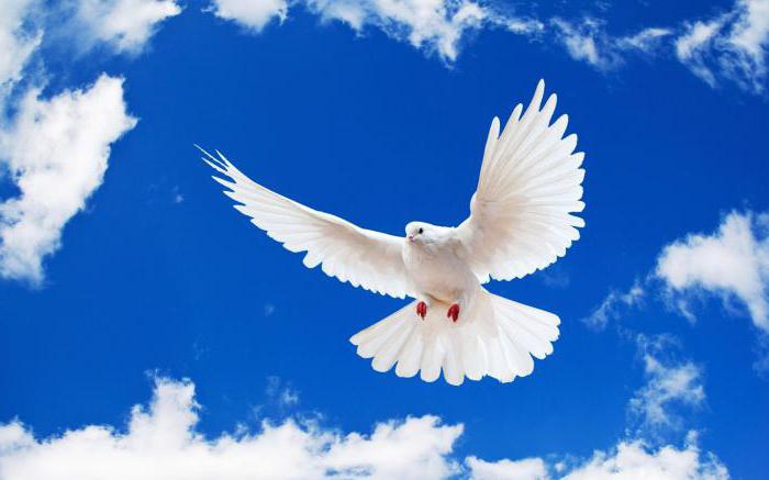 Молитви за мир во светот во храмовите на МПЦ, ИВЗ и Католичката црква