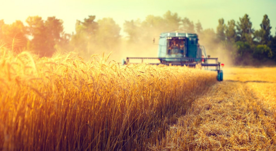 Полскиот министер за земјоделство поднесе оставка по скандалот со украинското жито