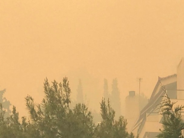 Голем шумски пожар во близина на атинска населба, се евакуираат жителите