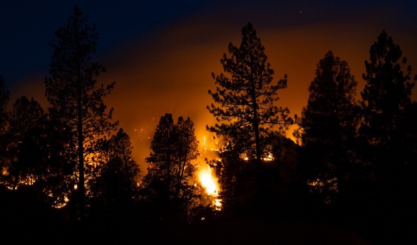 Шумски пожар во Калифорнија се заканува на стотици домови