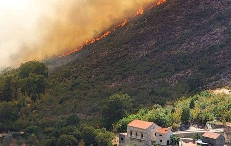 Гори шума кај Дубровник, четири „канадери“ го гаснат пожарот